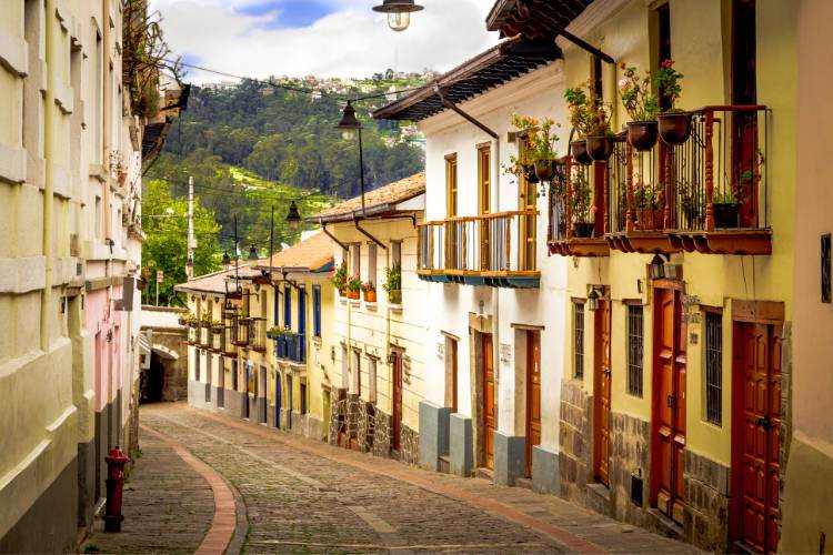 Una calle con edificios y árboles al fondo.