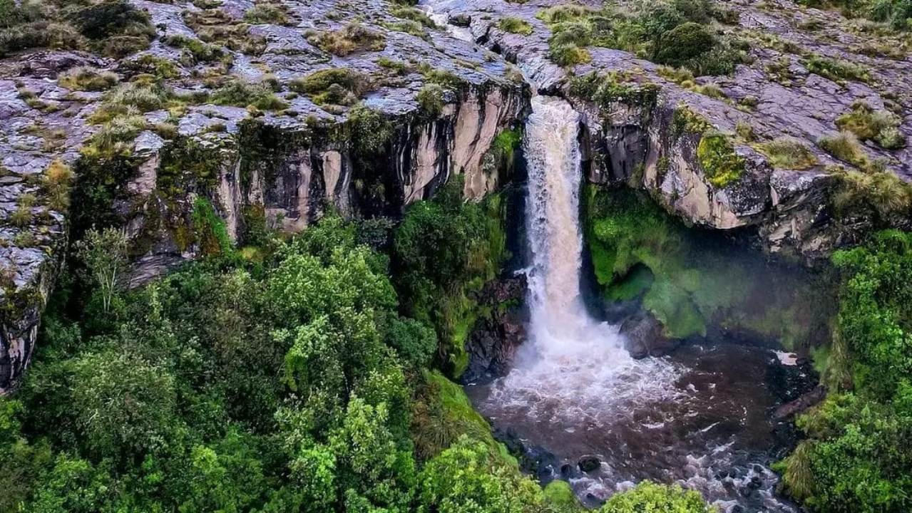 Una cascada cae por un acantilado rocoso rodeado de exuberante vegetación verde, con agua estancada en la base.