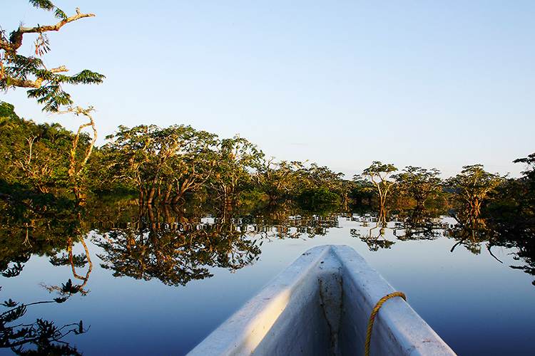 Una canoa viaja río abajo con árboles al fondo.