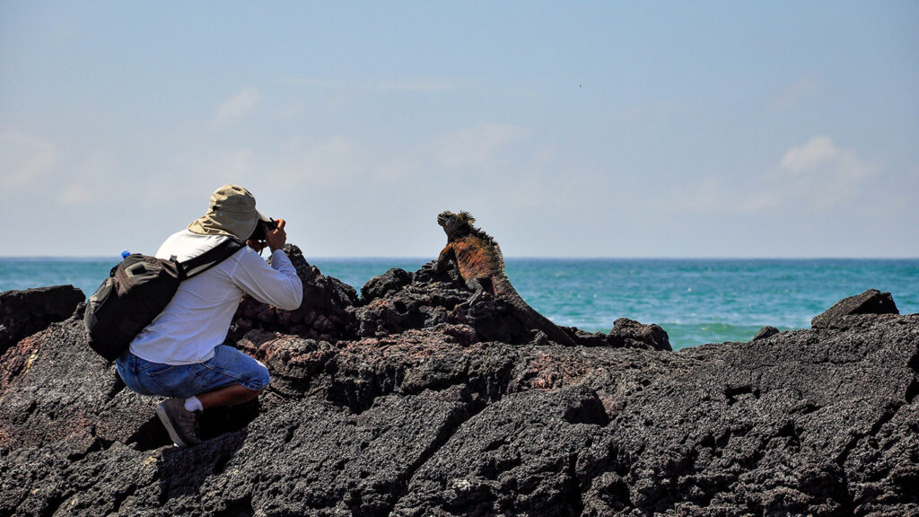 Una persona con sombrero para el sol se arrodilla sobre rocas volcánicas, fotografiando una iguana marina con el océano de fondo.