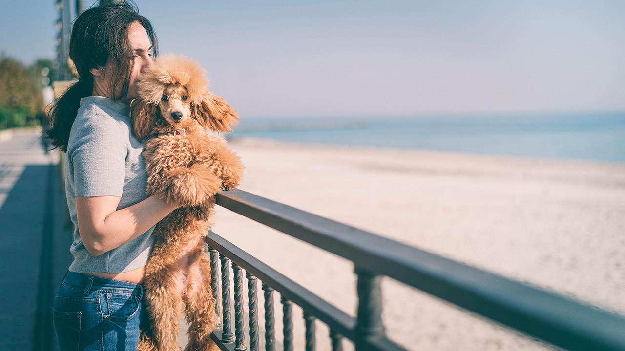 Una mujer sosteniendo un caniche en una barandilla en la playa.